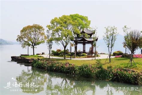 宁波东钱湖畔利民村，除了梨花还有什么看点？原来处处是风景 知乎