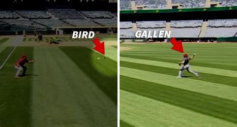 Mlb Star Zac Gallen Kills Bird With Warm Up Pitch Shades Of Randy