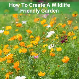 How To Create A Wildlife Friendly Garden Hedges Direct Blog