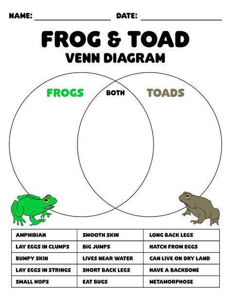 Diagram Difference Between Frog And Toad Diagram Difference