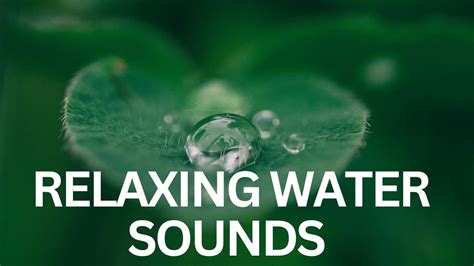 Relaxing Water Sounds - YouTube