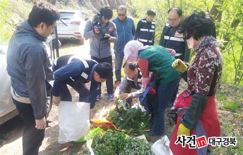 남부지방산림청 산나물 채취시기 산불방지 총력대응다경뉴스