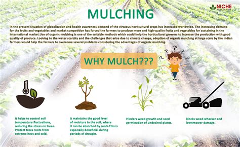 Mulching Mulch Your Landscape With Its Benefits Niche Agriculture