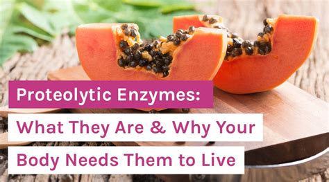 Proteolytic Enzymes: What They Are & Why Your Body Needs Them to Live ...