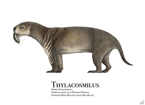 Thylacosmilus By Prehistorybyliam On Deviantart