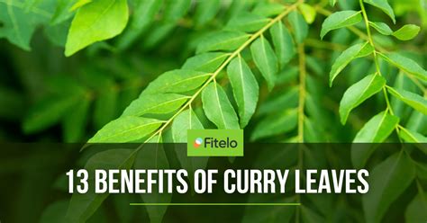 Curry Leaves Benefits For Health And How To Grow It At Home