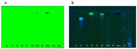 The High Performance Thin Layer Chromatography Hptlc Chromatogram A