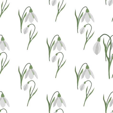 Spring Snowdrops Vector PNG Vector PSD And Clipart With Transparent