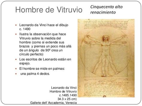 El Hombre de VITRUVIO definición y características