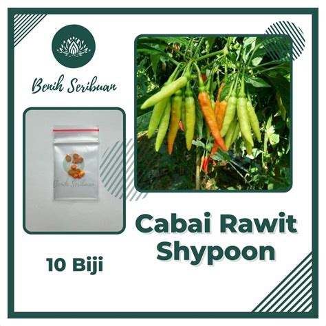 Jual Stm Bibit Sayuran Benih Sayur Paket Lengkap Tanaman Hidroponik