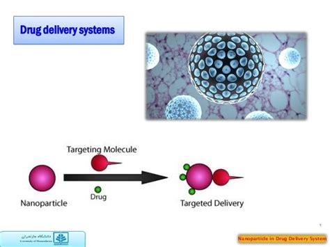 Nanoparticle In Drug Delivery System