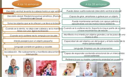 Crecimiento Y Desarrollo Pediatria