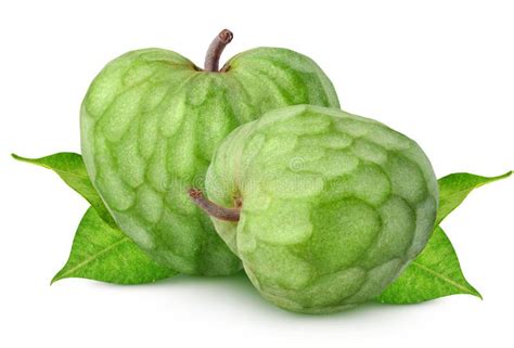 Isolated Cherimoya Two Fresh Cherimoya Custard Apple Fruits With