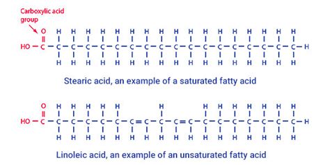 Fatty Acid – Keya Seth Aromatherapy