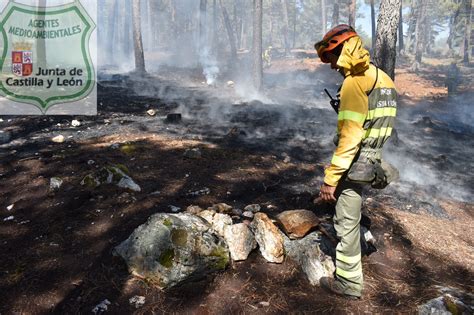 Los agentes medioambientales se concentrarán ante las Cortes de