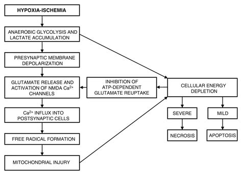 Hypoxic Ischemic Encephalopathy Radiology Case Radiogyan Radiogyan