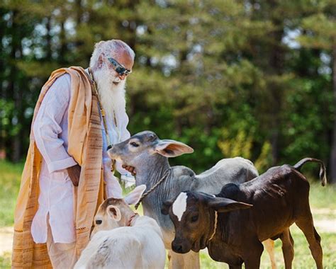 大師系列 Sadhguru 薩古魯－走入內在看見本我智慧 法寶文章