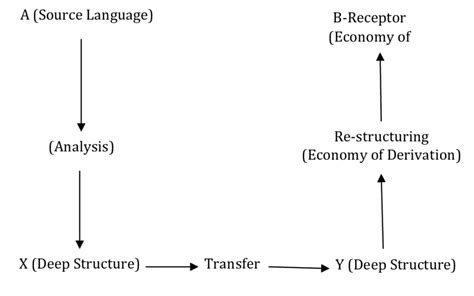 The Three Stage Model By Nida And Taber 1969 Download Scientific