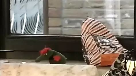 Hurry Porn Videos XHamster