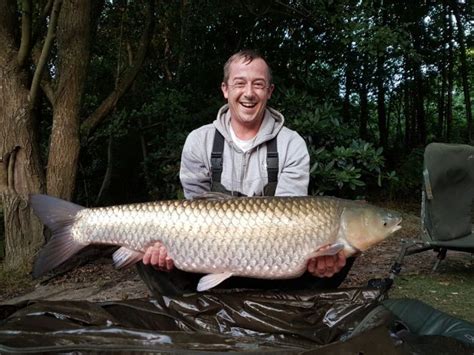 Grass Carp Is The Biggest Caught By An Angler In Britain