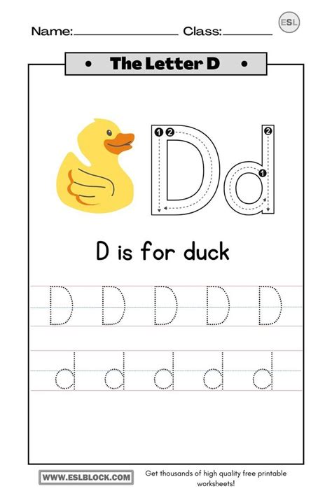 Tracing Letter D Worksheets