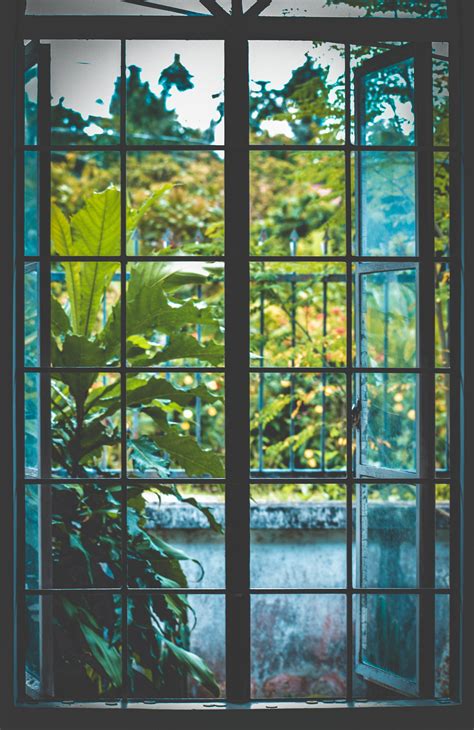 Open Black Metal Framed Clear Glass Window Near Plants · Free Stock Photo