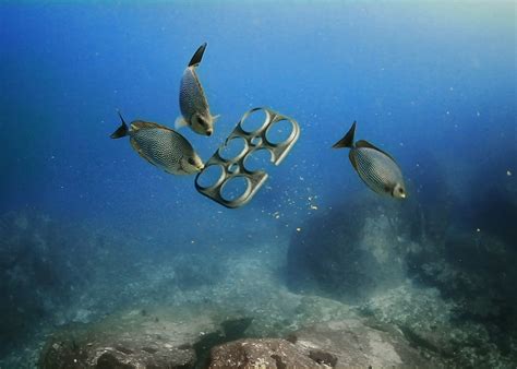 Saltwater Brewery Makes Edible Pack Rings For Marine Life Yodoozy