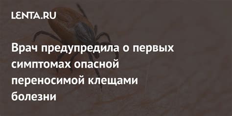 Врач предупредила о первых симптомах опасной переносимой клещами болезни Уход за собой Забота