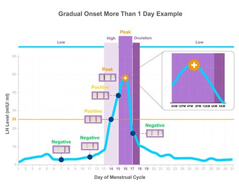 Lh Surge Chart And Ovulation