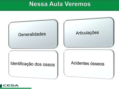 Aula Radiologia Anatomia Do Esqueleto Apendicular Cintura