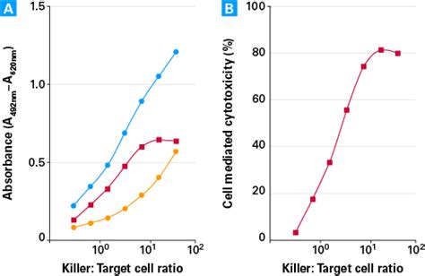 Cell Viability And Proliferation Measurement