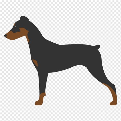 Dobermann pinscher miniatura pinscher alemán manchester terrier inglés