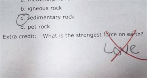 hilarious test answers     laugh
