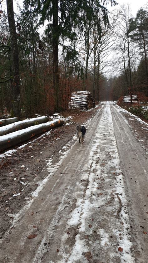 Der Ich War Heute Mit Dem Gravelbike Unterwegs Thread Seite 684