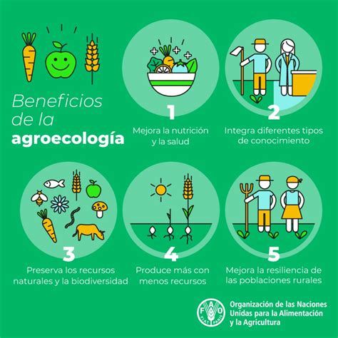 Proyectos agroecológicos mapa para encontrar los más cercanos a tu