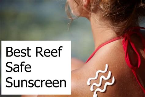 Best Reef Safe Sunscreen Top 10 Reviewed