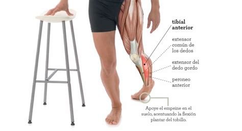 C Mo Estirar El Tibial Anterior Jl Fisios