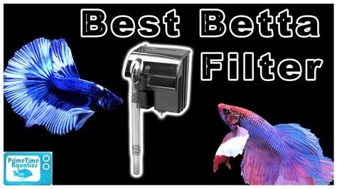 The Best Betta Filters For Your Aquarium Youtube