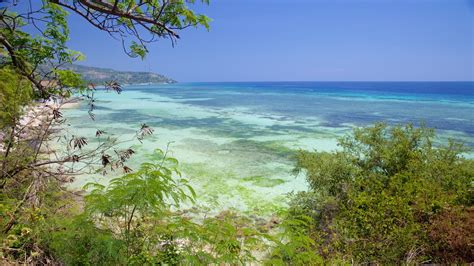 Oslob Beach Pictures: View Photos & Images of Oslob Beach