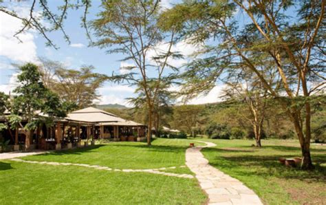 Stay At Luxury Lake Elmenteita Serena Camp African Wildlife Safaris