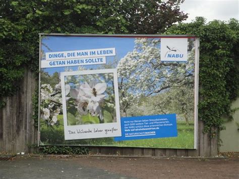 Gelungene Aktion J Hrliche Plakatwerbung F R Den Naturschutz Nabu