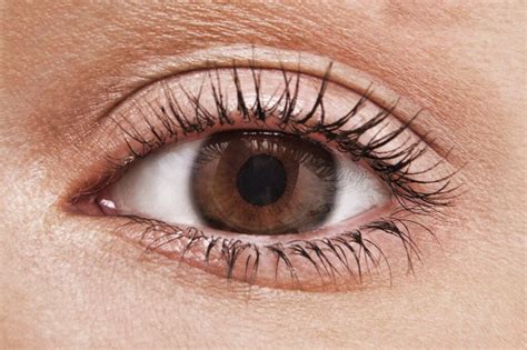 Eye Color Statistics: What's the Most Popular Eye Color?