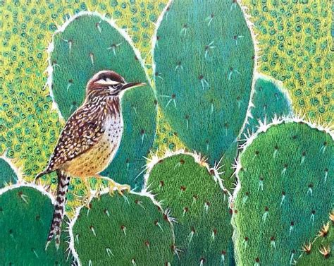 CACTUS WREN Drawing | Cactus wren, Southwest painting, Drawings