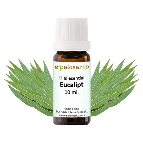 Ulei Esential Eucalipt Puritate 100 10 Ml Aromaterapie E Palosanto