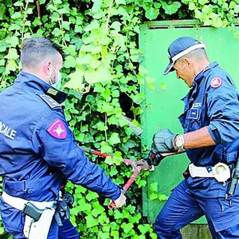 Conto Salato Per Gli Orti Abusivi A San Donato La Bonifica Costa Pi