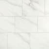 Daltile Selwyn Bianco Calacatta Glossy 10 In X 14 In Glazed Ceramic