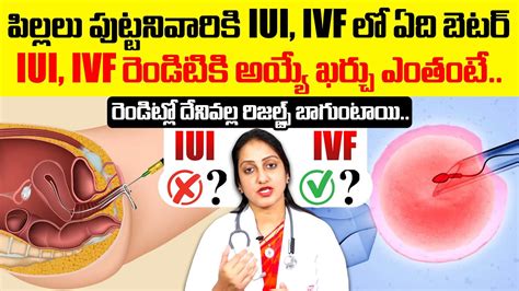 IUI IVF Cost In Telugu IUI And IVF Treatment For Pregnancy Problems