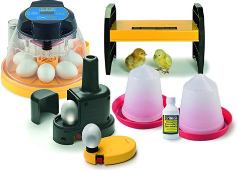 Brinsea Mini Ii Advance Egg Incubator Starter Pack Amazon Co Uk