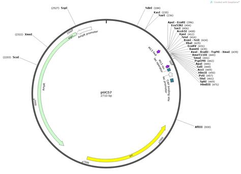 Macrogen Online Sequencing Order System