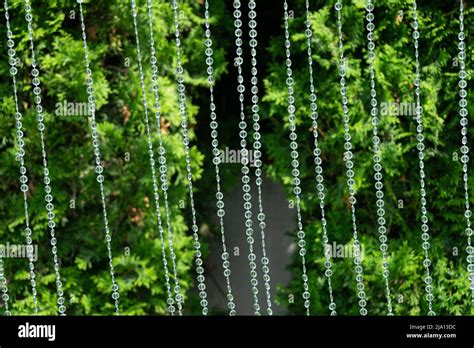 Decoration With Transparent Beads On A Background Of Blurred Greenery